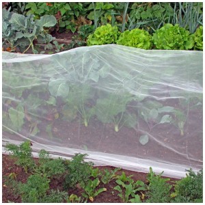 Filet de protection Filbio sur potager pour protéger des nuisibles.