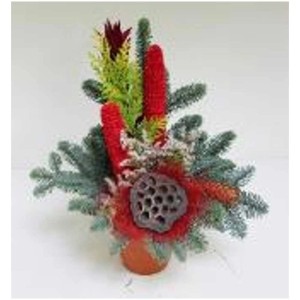 Pot forêt Nobilis rouge, composition funéraire avec sapin, conifères et décoration rouge en pot Ø 12 cm.