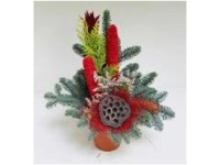 Waldtopf Nobilis Rot Topf Ø 12 cm