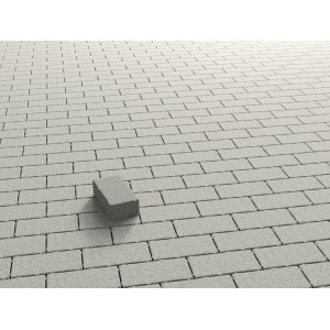 Pavés rectangulaires en béton blanc délavé, 20x10x6 cm, pour allées et terrasses.