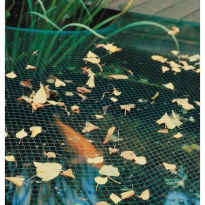 Filet de bassin vert 3x2m au-dessus du bassin avec des feuilles, protège du feuillage.
