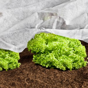 Le voile de croissance Windhager protège la salade dans le jardin. Le voile favorise la croissance et protège du gel.