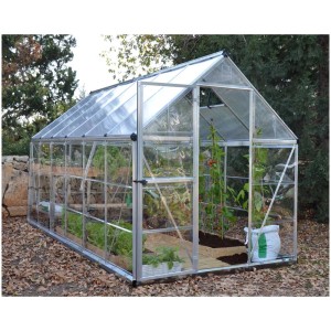 Serre Hybrid argentée avec plantes, cadre en aluminium et panneaux en polycarbonate.