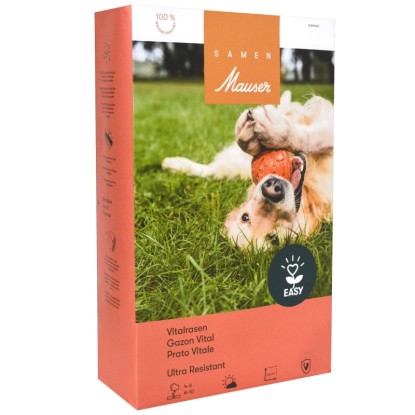 Samen Mauser Rasensamen extra stark