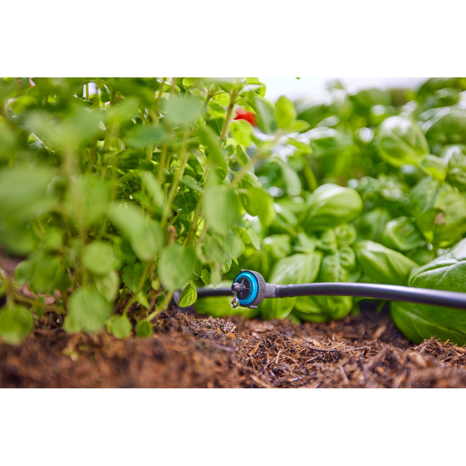 Gardena SolarBewässerung AquaBloom L Set kaufen bei OBI