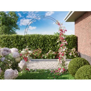 Schwarzer Rosenbogen aus Metall, 240x140x38 cm, mit Rosen bepflanzt, im Garten.