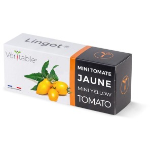 Véritable Lingot Graines de légumes Mini tomates jaunes en boîte.
