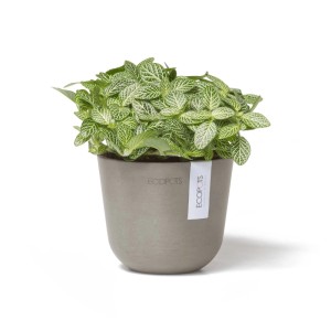 Pot de fleurs Ecopots Oslo Mini, braungrau, 11,5x10cm, avec plante.