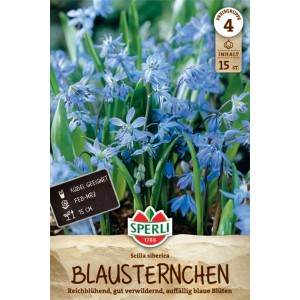 Sperli Blumenzwiebel Sibirischer Blaustern, azurblaue Blüten und grüne Blätter.