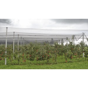 Filet de protection contre la grêle vert Windhager tendu sur un verger, protégeant les plantes.