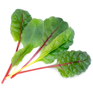 Bette biologique fraîche, feuilles vertes aux nervures rouges, pour culture en jardin d'intérieur Véritable.