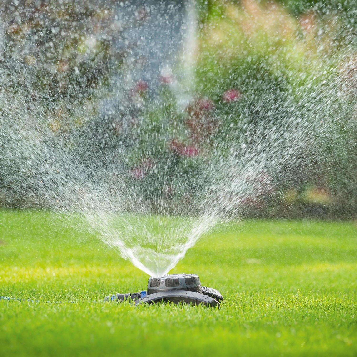 HTN - Giardino Esterno Prato Di Manutenzione Verde Irrigazione - Foto 10