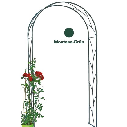 Rosenbogen Ranke MontanaGrün (HxBxT) 124 x 36 x 244 cm kaufen bei OBI