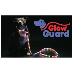 Hund mit leuchtender LED-Leuchtleine Glow Guard. Die Hundeleine sorgt für Sichtbarkeit im Dunkeln.