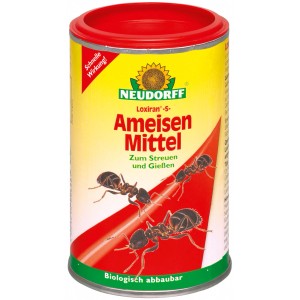 Neudorff Loxiran-S Ant Bait 100g per il controllo delle formiche su vialetti e terrazze.