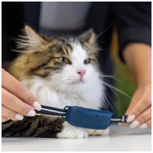 Fixation pour collier Tractive GPS CAT 4 (3 pièces) sur collier pour chat.