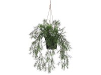 Mica Decorations Kunstpflanze Springeria hängend Grün Topf Ø 9,5 cm / Höhe 40 cm