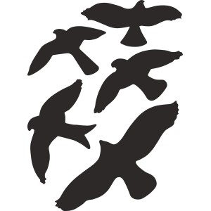 Ensemble de 5 autocollants contours d'oiseaux, 35x25 cm, pour intérieur et extérieur.