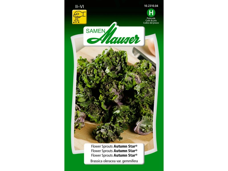 Flower Sprouts Autumn Star® kaufen bei OBI