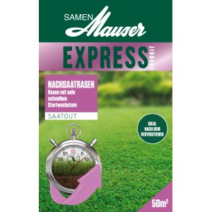 Graine de gazon Express 1kg : Regarnissage pour une réparation rapide et un gazon dense et vert.