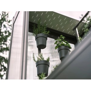 Tôle de protection Biohort pour serre Florentina, gris foncé métallisé, avec plantes en pots.