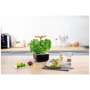 Véritable Exky Smart orto aromatico color rame con erbe aromatiche in cucina.