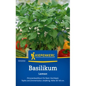 Graines de basilic citron Kiepenkerl : Basilic citron en pot, feuilles vertes.