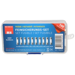 Jeu de fusibles temporisés 5x20mm, 100 pièces dans un boîtier plastique transparent.