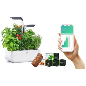 Véritable Indoor Herb Garden Connect Grey con erbe aromatiche, verdure e controllo tramite app.
