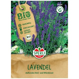 Sperli Bio Lavendel Saatgut, mehrjährige Duftpflanze für Beet, Kübel und Topf.
