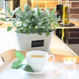 Sauge bio (Salvia) en pot avec tasse de thé et bougie sur plateau. Herbes de cuisine pour le thé et la cuisine.