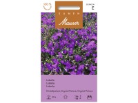 Lobelie Kristallpalast Lobelie Kristallpalast