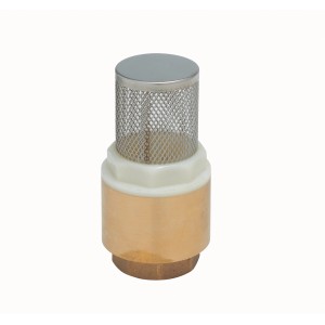 Clapet de pied avec crépine, 24,1 mm (Rp 3/4), en laiton et acier inoxydable pour accessoires de pompe.