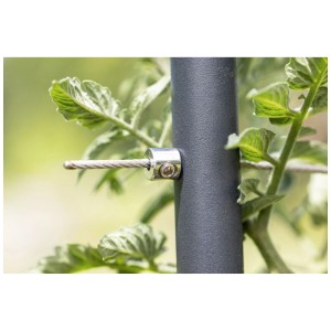 Dettaglio: supporto per piante rampicanti Windhager in acciaio inox su aiuola rialzata, supporto sicuro.