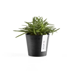 Petit pot de fleurs Ecopots Amsterdam Mini (8 cm) gris foncé avec plante verte.