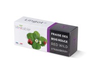 Véritable Lingot Samen Rote Walderdbeere