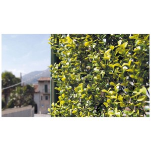 Haie artificielle Tenax Divy 3D Buxus clair, 0,5x1 m, comme brise-vue de balcon avec des feuilles vert clair.