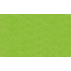 Hellgrünes, halbtransparentes Glorex Seidenpapier, ideal zum Basteln und Verpacken.