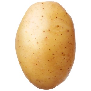 Patata biologica 'Twinner', soda, varietà precoce. Patata da semina per l'orto.