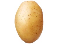 Samen Mauser Kartoffel Bio Twinner 1 kg Samen Mauser Kartoffel Bio Twinner 1 kg