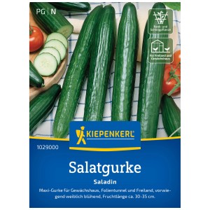 Graines de concombre Saladin F1 Kiepenkerl, 6 plants, concombres vert foncé et côtelés.