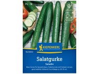 Kiepenkerl Saatgut Salatgurke Saladin F1 6 Pflanzen