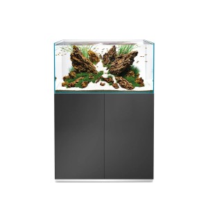 Oase ScaperLine 90 Gris aquarium avec meuble, 180 l, planté et décoré.
