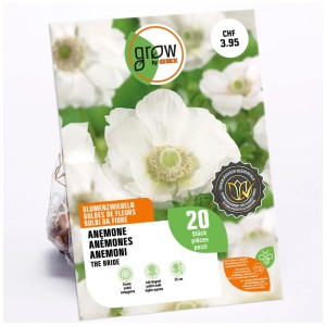 Confezione di anemoni bianchi 'The Bride' di GROW by OBI, 20 bulbi da fiore.