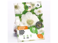 GROW by OBI Anémone Coronaria The Bride Blanc / 20 pcs