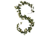 Mica Decorations Kunstgirlande Hedera Grün Ø 15 cm / Länge 180 cm