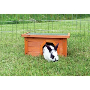 Trixie Natura maison pour petits animaux, maison en bois marron avec lapin dans le jardin.