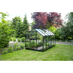 Serre noire Halls Popular 106 avec verre sur pelouse dans le jardin.