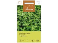 Griechischer Oregano