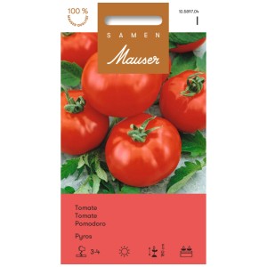 Sachet de graines de tomate Pyros F1 : tomates rouges mûres et feuilles vertes. Graines potagères pour le jardin.